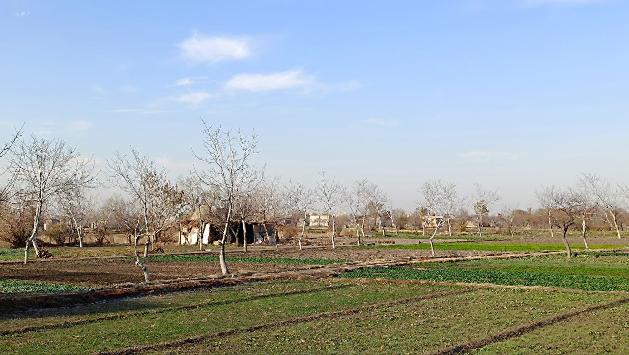 باغ در پاییز حکم آباد